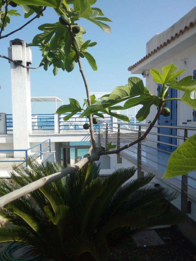 B&B Conca Del Faro Mattinata Eksteriør bilde